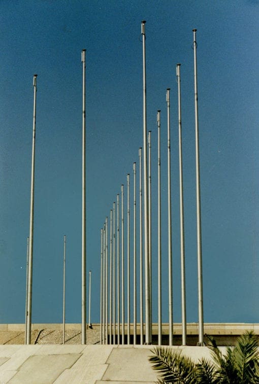Ali Poles In UAE